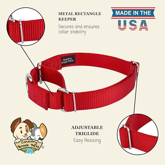 Country Brook Petz - Martingale Dog Collar - Heavy-Duty Training Collar with No Buckle - Service Dog Collar for All Pups - 10+ Warm Colors (Red, 1 Inch, Large)