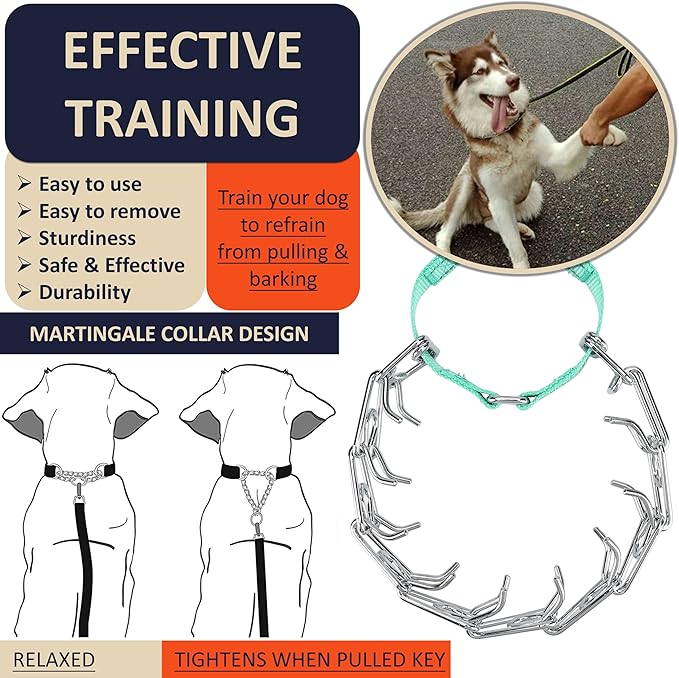 Dog Training Collar with Quick-Release Buckle, Adjustable Stainless Steel Collar for Small Medium Large Dogs (Teal, XL Neck Girth 16.9"-22.2")