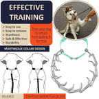 Dog Training Collar with Quick-Release Buckle, Adjustable Stainless Steel Collar for Small Medium Large Dogs (Teal, XL Neck Girth 16.9"-22.2")