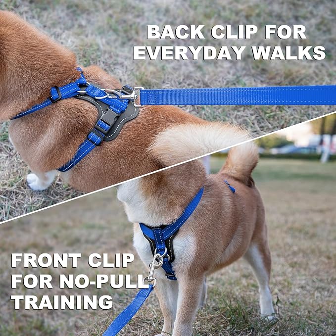 Plutus Pet Adjustable No Pull Dog Harness with Leather Accents, Heavy Duty Reflective Nylon Vest for Training, Hiking, Easy Walk Harness for Small, Medium, Large Dogs (Royal Blue, M)