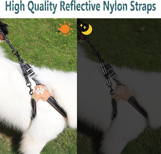 2 Pcs Dog Collar Safety Clips with Double Ended Clasps | Adjustable Collar Backup Clip for Dog Harness & Collars Connectors, Training for Walking, Running, and Hiking, Safety Clip - Black