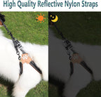 2 Pcs Dog Collar Safety Clips with Double Ended Clasps | Adjustable Collar Backup Clip for Dog Harness & Collars Connectors, Training for Walking, Running, and Hiking, Safety Clip - Black