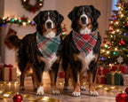 2PCS Christmas Dog Bandanas Plaid Two-Sided with Tassels,Holiday Scarf,Stylish Triangle Dog Outfit for Boy and Girl,Winter Christmas Classic Red-Green Plaid Pet Scarf for Medium to Large Dogs