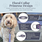 Lucky Love Dog, Comfortable, Soft, Cute Female Dog Collar for Small Dogs, Black & Purple Floral Print, Adjustable Nylon Collar, Primrose, Small