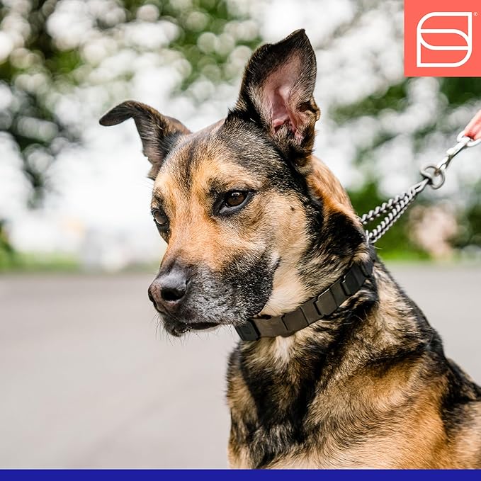 Herm. Sprenger NeckTech Fun Dog Training Collar with Quick Release Snap and Swivel, Anti Pull Collar, Stainless Steel Black (18" Neck Size; 20" Chain Length)