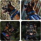 OneTigris Tough Dog Collars, Tactical Dog Collar with Handle, Milltary Adjustable Dog Collar with Heavy Duty Metal Buckle for Training (Medium,Blue)