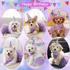 2 Pack Dog Birthday Dress Girl Dog Birthday Bandana with Hat and Dress Girl Set Puppy Party Supplies, Cute Tutu Skirt Outfit for Small Medium Large Dogs Decorations (Purple)