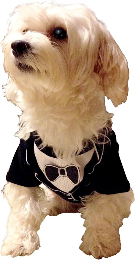 Frenchie Mini Couture Dog Tuxedo, (Medium)
