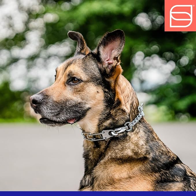 Herm. Sprenger Ultra-Plus Prong Dog Training Collar with Quick Release Snap and Swivel, Anti Pull Training Pinch Collar, Steel Chrome Plated (2.25 mm x 13" Neck Size; 16" Chain Length)