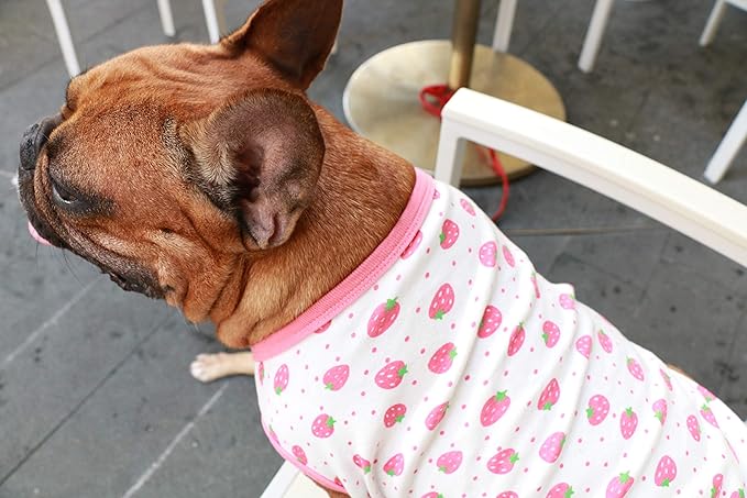 iChoue 100% Breathable Cotton Pug Halloween Cartoon T Shirts Cute Clothes for Dogs Vest Tank Tops Puppy French Bulldog Frenchie English Boston Terrier Strawberry - Small