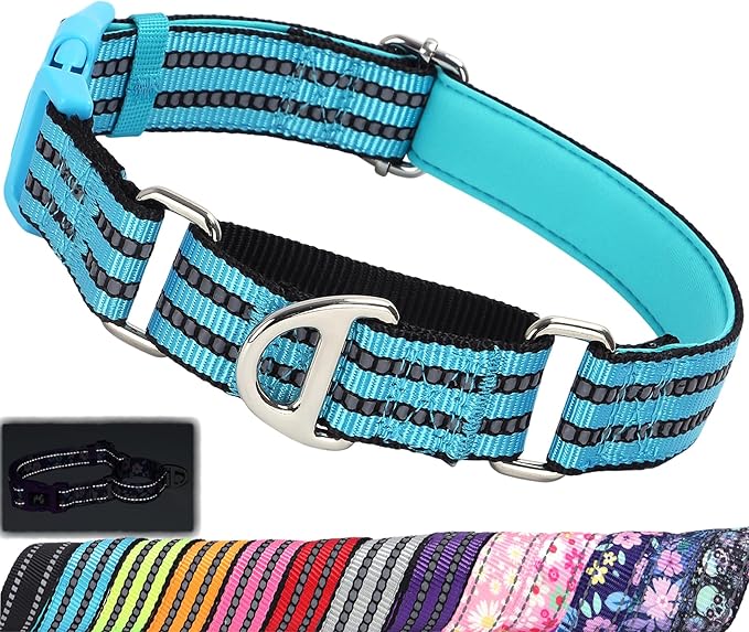 Martingale Collar for Dogs -Reflective Nylon No Slip Choke with Padded Comfort Heavy Duty Dog Collar with Quick Release Buckle for Training, Walking & Overexcited Pulling Blue S