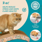 Cats Rock Scratching Board for Indoor Cats, Corrugated Cardboard Cat Scratcher with Catnip, Double-Sided Scratch Pad, Wave Scratcher Colorful Leopard Design (Pack of 2)