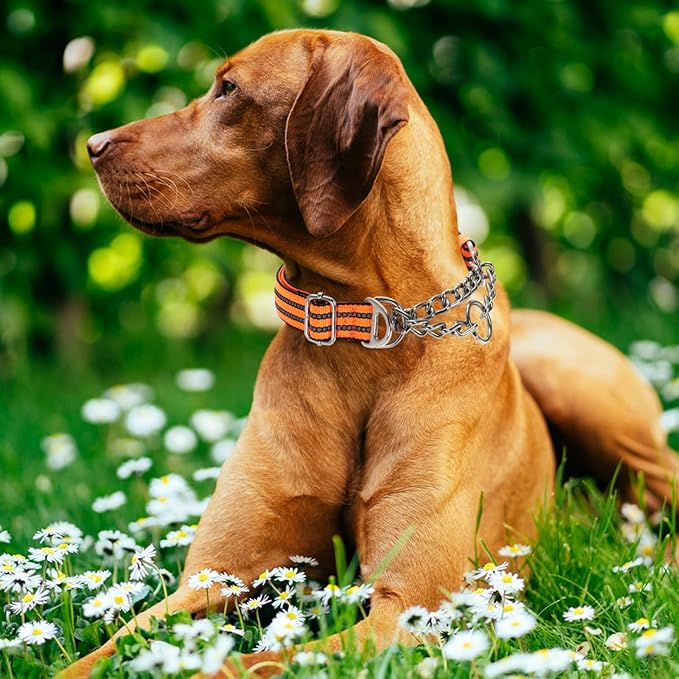 No-Pull Martingale Dog Collar for Medium Large Extra Large and XXL Dogs- Reflective Padded Strap & Durable Chain, Anti-Escape Design for Safe Walks & Training(Orange XXL)