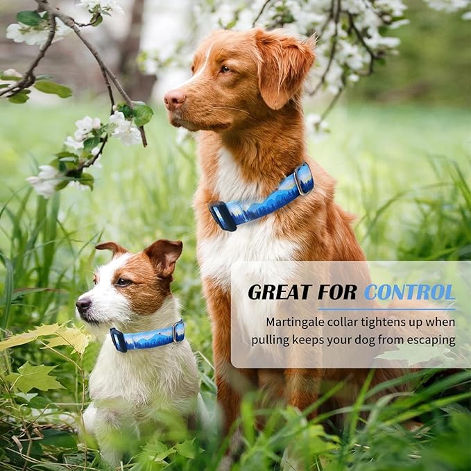 Hikiko Martingale Collar for Dogs Soft Durable Dog Collar for Small Medium Large Boy and Male Dogs No Pull No Slip Safety Buckle Dog Collars (Hill,Small)