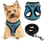Dog Harness for Small Dogs and Leash Set, Honeycomb Grid, Reflective Lightweight Harness & Anti-Twist Pet Lead (Multi Color, Size: XS-S-M) (M, Blue)