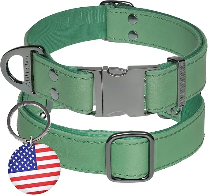 ADITYNA Leather Dog Collar with Metal Buckle - Heavy-Duty, Adjustable for Medium & Large Dogs - Walking, Training, Hiking (Green, Fits 15-21" Necks)