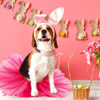 2 Pcs Dog Crown Headband Dog Tutu Dress Set Crystal Rhinestone Tiara Crown Tutu Skirt Pet Dress Costume for Puppy Birthday Party Wedding Photo Prop Costume(Large,Rose Red)