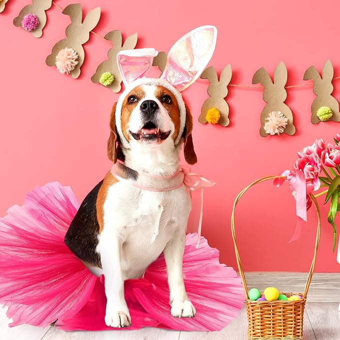 2 Pcs Dog Crown Headband Dog Tutu Dress Set Crystal Rhinestone Tiara Crown Tutu Skirt Pet Dress Costume for Puppy Birthday Party Wedding Photo Prop Costume(Medium,Rose Red)