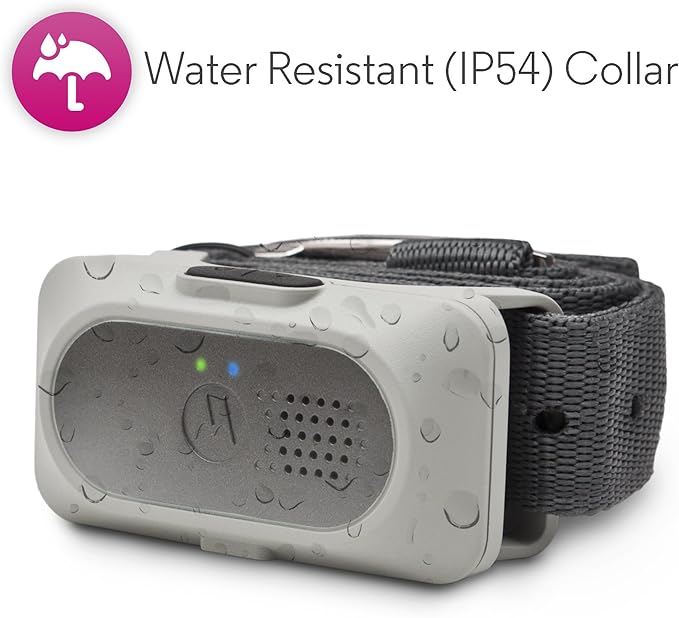 Motorola Pet Rechargeable Advanced Remote Training System with 3 Training Modes and Verbal Correction using Push-to-Talk Feature