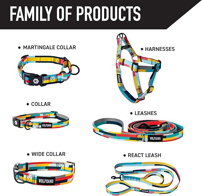 Wolfgang Heavy Duty Dog Leash, Pull-Tested for Walking & Training, Mixtape Print, Small