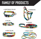 Wolfgang Heavy Duty Dog Leash, Pull-Tested for Walking & Training, Mixtape Print, Small