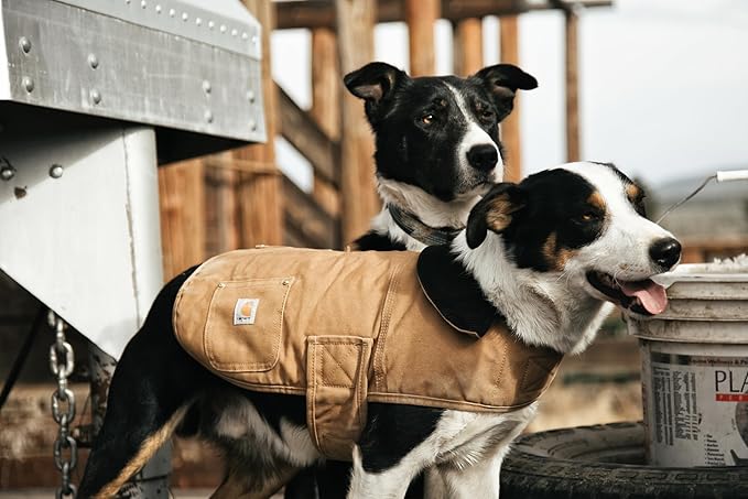 Carhartt Gear P0000340 Firm Duck Insulated Dog Chore Coat Medium Carhartt Brown