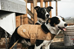 Carhartt Gear P0000340 Firm Duck Insulated Dog Chore Coat Medium Carhartt Brown