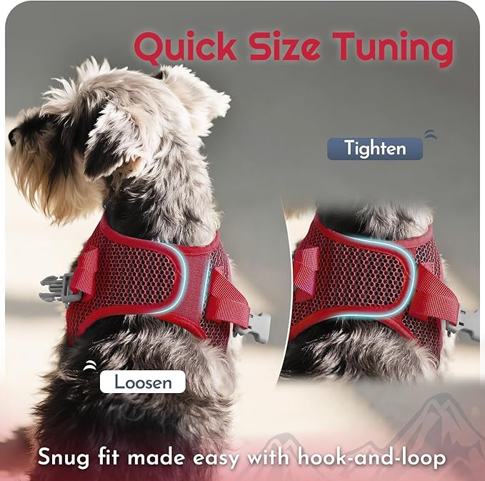 Eagloo Small Dog Harness and Leash Set, Step in Puppy Vest with Breathable Soft Mesh, Walking Reflective Pet Harness for Medium Small Dogs, Red, M