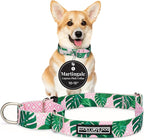Lucky Love Dog Martingale Dog Collar - Adjustable, No-Slip, Comfortable, Durable, Soft Webbing & Stylish Patterned Collar for Male and Female Dogs Ideal for Training & Walking - Laguna, Small