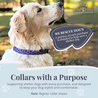 Lucky Love Dog Martingale Dog Collar - Adjustable, No-Slip, Durable, & Soft Webbing Collar for Male and Female Dogs Ideal for Training & Walking - Primrose, Small