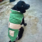 KYEESE Dog Coat Windproof Pet Sweater with Waterproof Pets Clothes for Cold Weather Thick Dog Coats for Medium Dogs Warm Pet Winter Puffer Coat with Leash Hole Soft Dogs Jacket with Pocket