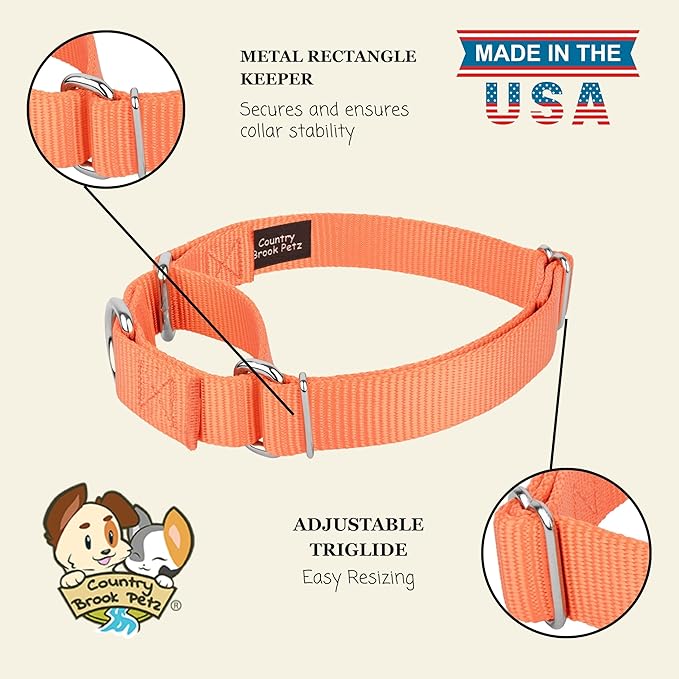 Country Brook Petz - Martingale Dog Collar - Heavy-Duty Training Collar with No Buckle - Service Dog Collar for All Pups - 10+ Warm Colors (Mango, 1 Inch, Medium)