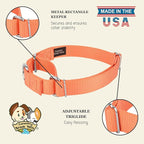 Country Brook Petz - Martingale Dog Collar - Heavy-Duty Training Collar with No Buckle - Service Dog Collar for All Pups - 10+ Warm Colors (Mango, 1 Inch, Large)