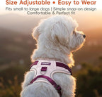 3 in 1 No Pull Dog Harness Leash and Collar Set, Soft Adjustable Dogs Vest Reflective and Comfortable Handle Pink Small
