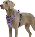 Funfox Dog Harness No Pull, Adjustable Pet Vest Harness, Super Soft Material with Vertical Handle Easy Control, Reflective Night Walking, 2 Leash Clips for XLarge Dogs, Purple, XL