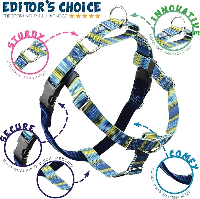 2 Hounds Design - Freedom No-Pull Harness & Training Leash in Blue and Green | Dual Leash Loops, No Pulling on Walks | Lined to Prevent Chaffing | for Large Sized Dogs (Size M, Chest 24”- 28”)
