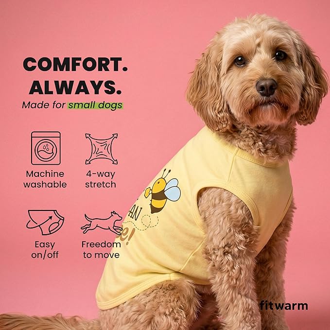 Fitwarm Bee the Best You Can Dog Shirt, Summer Clothes for Small Dogs Boy Girl, Funny Pet Outfit, Yellow, Brown, Blue, Medium