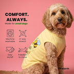 Fitwarm Bee the Best You Can Dog Shirt, Summer Clothes for Small Dogs Boy Girl, Funny Pet Outfit, Yellow, Brown, Blue, XXL