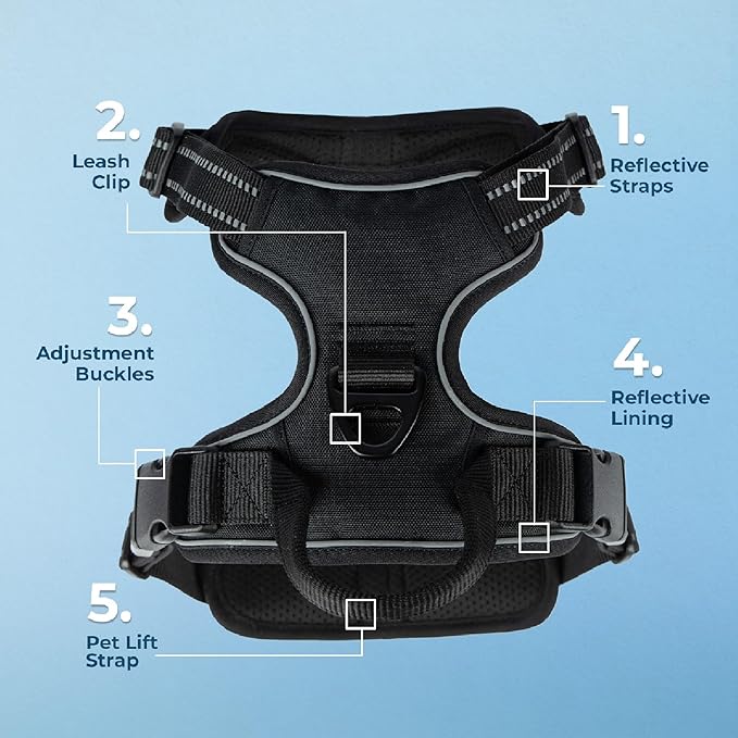 Voyager Dog Harness Dual Leash Attachment No-Pull Control Adjustable Soft but Strong Pet Harness for Medium and Large Dogs with 3M Reflective Technology, Black Nylon, XL (Chest: 28-37")