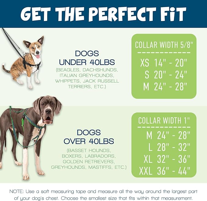 2 Hounds Design - Freedom No-Pull Harness & Training Leash in Pink Daisy | Dual Leash Loops, No Pulling on Walks | Lined to Prevent Chaffing | for Large Sized Dogs (Size M, Chest 24”- 28”)
