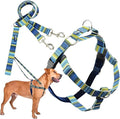2 Hounds Design - Freedom No-Pull Harness & Training Leash in Blue and Green | Dual Leash Loops, No Pulling on Walks | Lined to Prevent Chaffing | for Large Sized Dogs (Size M, Chest 24”- 28”)