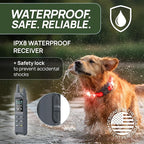 Dog Shock Collar (New Version) with 360° LED Lights – 4200FT Dog Training Collar with Remote, IPX8 Waterproof, Beep/Vibration/Safety Shock Modes, Rechargeable E-Collar for Dogs