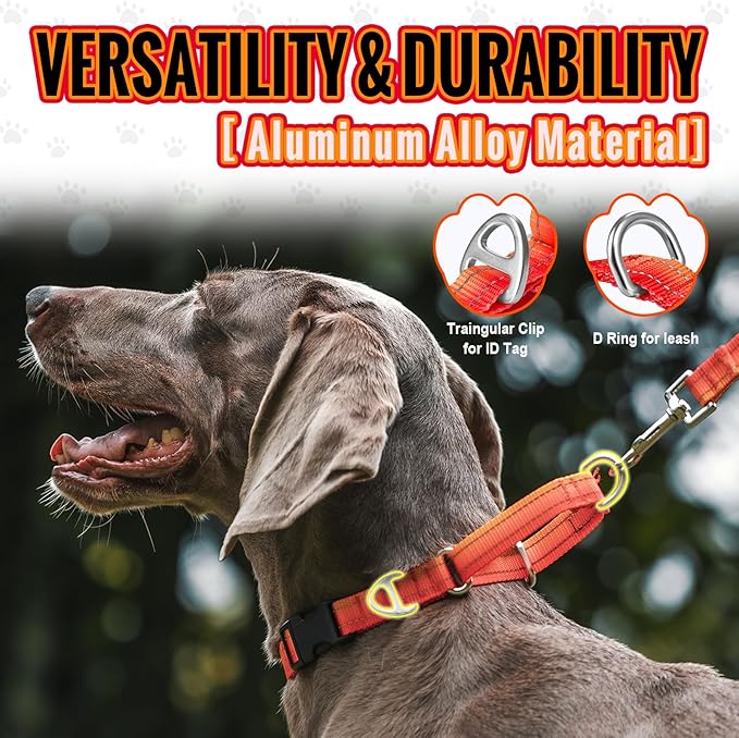 Martingale Collar for Dogs with UTX Buckle Reflective Ombre Nylon Dog Collar for No Pull Training Walking
