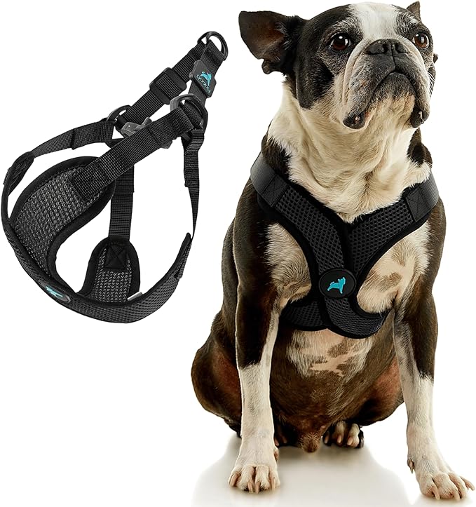 Gooby Comfort X Step in Lite Dog Harness - Choke Free, Escape Free with Light Breathable Mesh - Step in Dog Harness for Small and Medium Dogs - Quick Release Buckle, Metal D-Rings - Black, Small