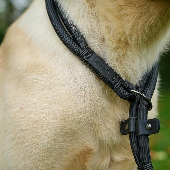 Slip Dog Collar, Nylon Rope Dog Choker Collars with Adjustable Stopper, Heavy Duty Collar for Medium Dog Training (Purple)
