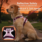3 in 1 No Pull Dog Harness Leash and Collar Set, Soft Adjustable Dogs Vest Reflective and Comfortable Handle Pink X-Large