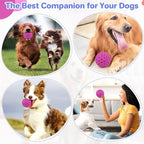 Indestructible Squeaky Dog Balls, Dog Toys for Aggressive Chewers Large Breed for Relieving Anxiety, Tough Dog Chew Toys Balls for Aggressive Chewers, Outdoor Squeaky Cognitive Dog Toys