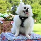 AMTOR Small Dog Harness with Leash Set, No Escape Easy Walk Puppy Harnesses for Training Walking, Step-in Reflective Soft Dogs Vest for XS S Medium Extra-Small Large Sized Dog(XL,Black/Grey)