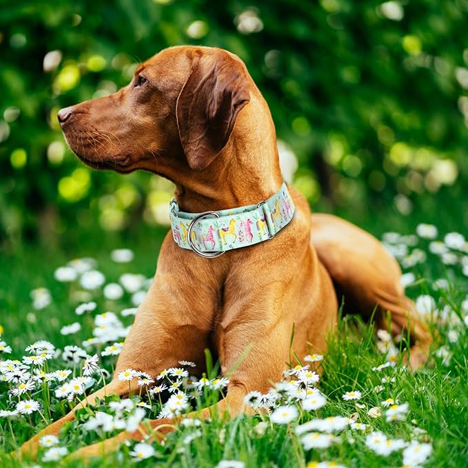 Thick & Wide Martingale Collar for Large Dogs - 1.5 Inch No Pull Escape Proof Dog Collar, Adjustable Comfort Training Collar(Medium)