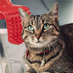 Lick'em Tongue Cat Brush – Funny Novelty White Elephant Gag Gift for Cat Lovers